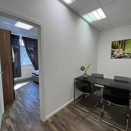 Mobliertes 5-zimmer-apartment - Kafertal